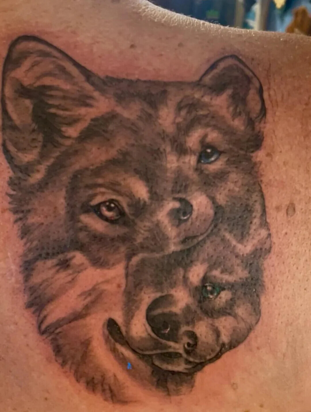 Tattoos That Should Be Removed for Everyone's Sake