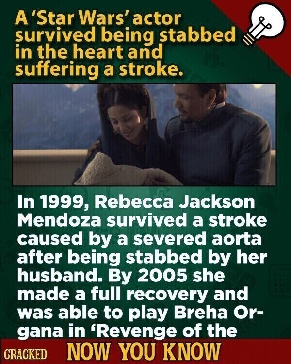 A 'Star Wars' actor survived being stabbed in the heart and suffering a stroke. In 1999, Rebecca Jackson Mendoza survived a stroke caused by a severed aorta after being stabbed by her husband. By 2005 she made a full recovery and was able to play Breha Or- gana in 'Revenge of the CRACKED NOW YOU KNOW