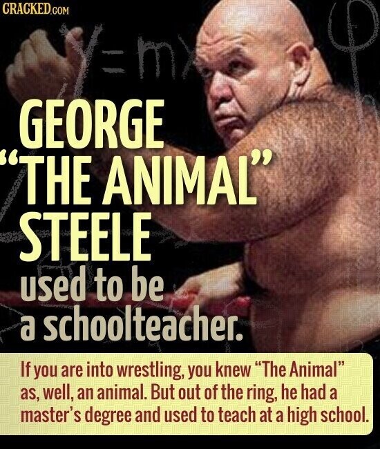 CRACKED.COM m GEORGE THE ANIMAL STEELE used to be a schoolteacher. If you are into wrestling, you knew The Animal as, well, an animal. But out of the ring, he had a master's degree and used to teach at a high school.