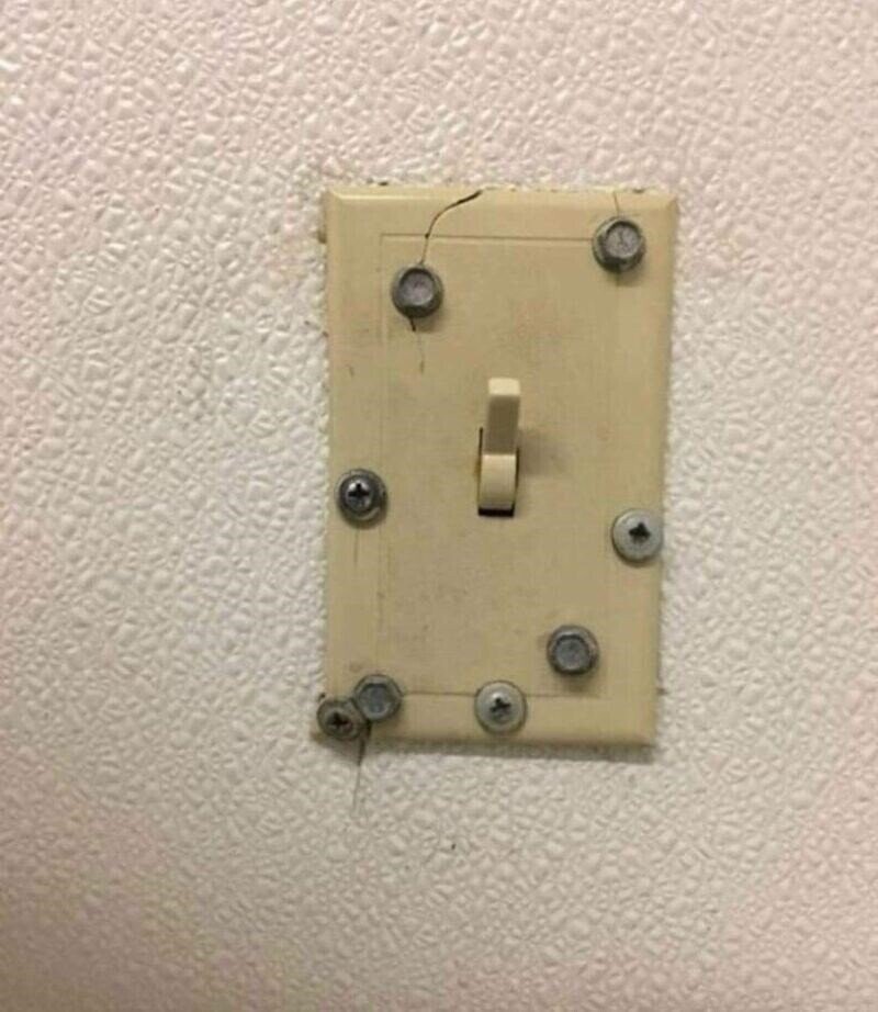 Photos from the Halls of the Smithsonian Of Stupidity