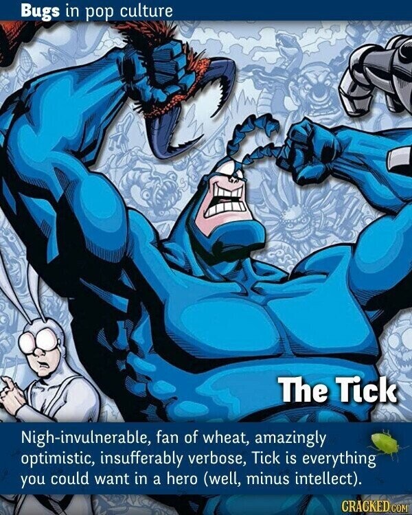 Bugs in pop culture The Tick Nigh-invulnerable, fan of wheat, amazingly optimistic, insufferably verbose, Tick is everything you could want in a hero (well, minus intellect). CRACKED.COM