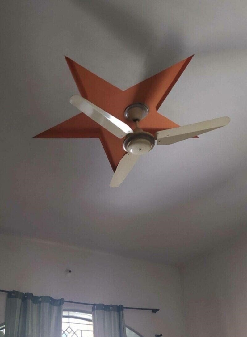 Photos from the Halls of the Smithsonian Of Stupidity