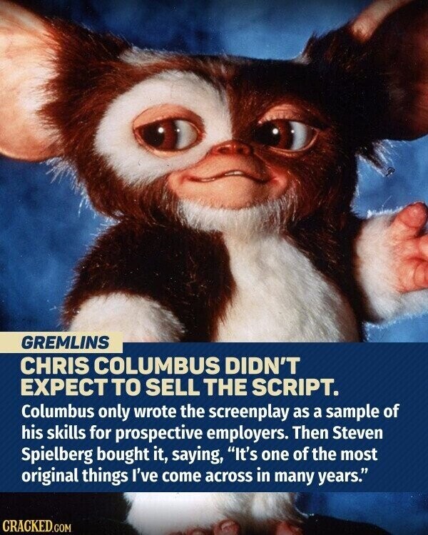GREMLINS CHRIS COLUMBUS DIDN'T EXPECT TO SELL THE SCRIPT. Columbus only wrote the screenplay as a sample of his skills for prospective employers. Then Steven Spielberg bought it, saying, It's one of the most original things I've come across in many years. CRACKED.COM