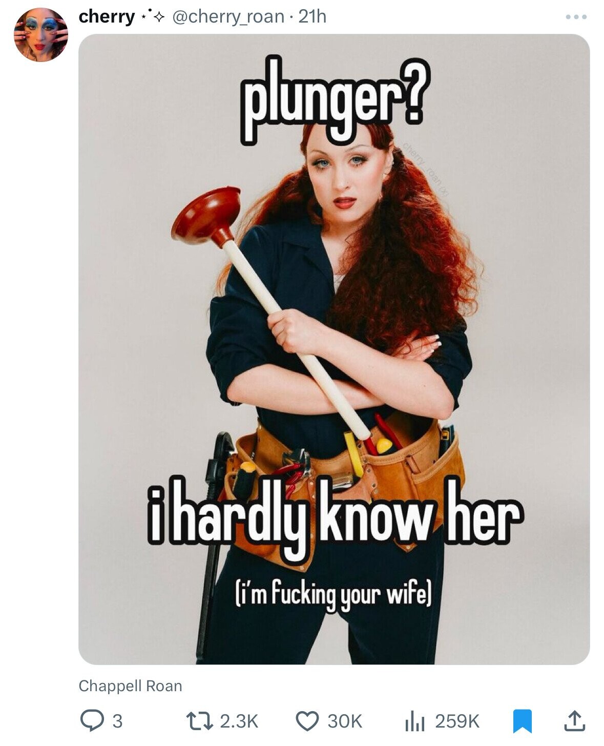 cherry @cherry_roan.2 21h plunger? ihardly know her (i'm fucking your wife) Chappell Roan 3 2.3K 30K 259K 