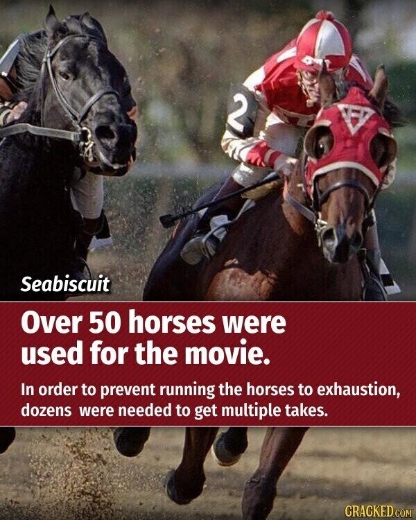 2 Seabiscuit Over 50 horses were used for the movie. In order to prevent running the horses to exhaustion, dozens were needed to get multiple takes. CRACKED.COM