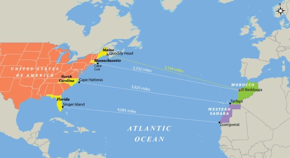 20 Counterintuitive Facts To Cook Your Noodle