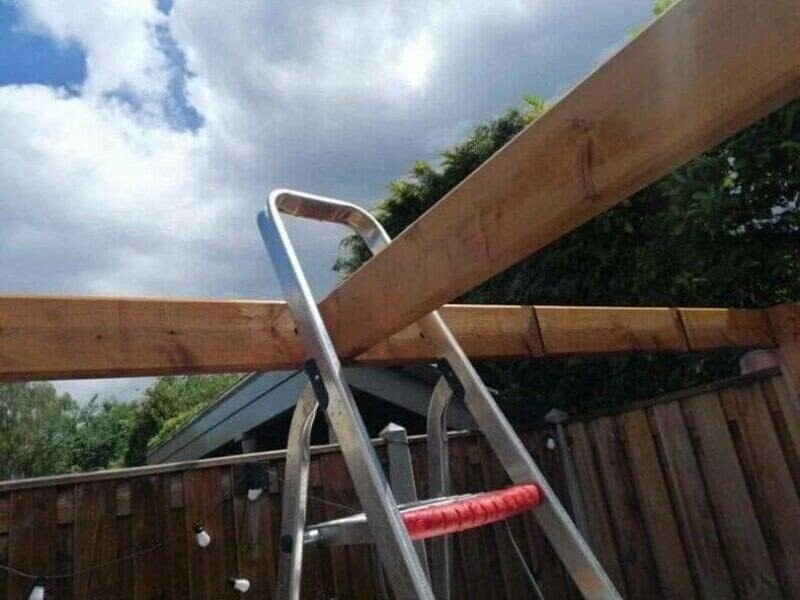 Photos from the Halls of the Smithsonian Of Stupidity