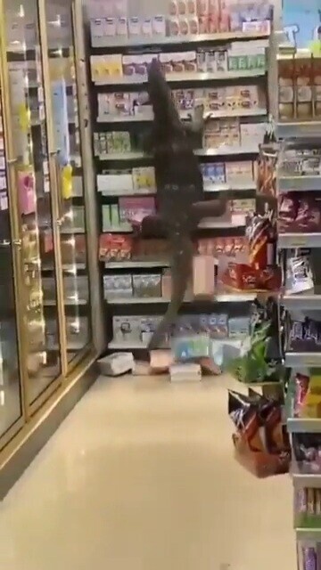 Photos Where You Just Have to Roll Your Eyes