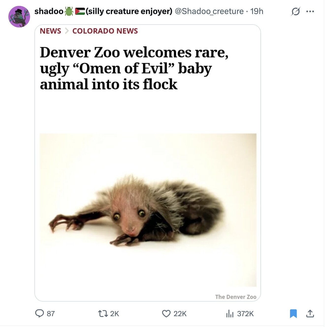 shadoo (silly creature enjoyer) @Shadoo_creeture . 19h O ... NEWS > COLORADO NEWS Denver Zoo welcomes rare, ugly Omen of Evil baby animal into its flock The Denver Zoo 87 2K 22K 372K