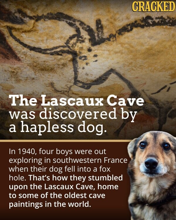 CRACKED The Lascaux Cave was discovered by a hapless dog. In 1940, four boys were out exploring in southwestern France when their dog fell into a fox hole. That's how they stumbled upon the Lascaux Cave, home to some of the oldest cave paintings in the world.