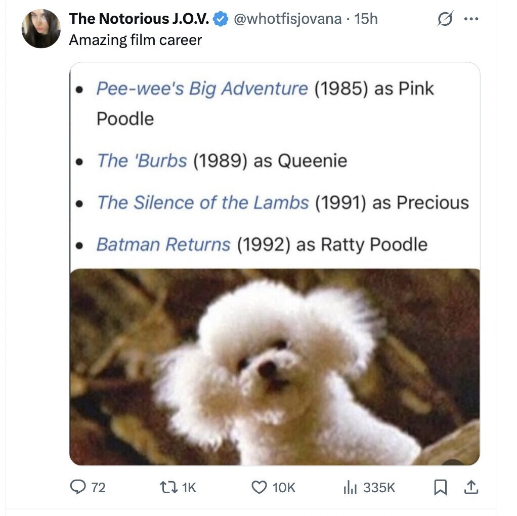The Notorious J.O.V. @whotfisjovana.15h G ... Amazing film career Pee-wee's Big Adventure (1985) as Pink Poodle The 'Burbs (1989) as Queenie The Silence of the Lambs (1991) as Precious Batman Returns (1992) as Ratty Poodle 72 1K 10K 335K ادار