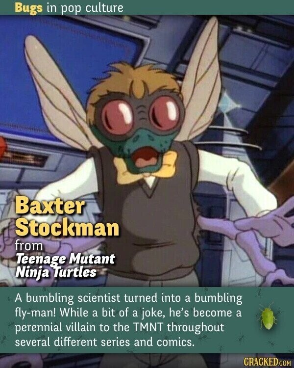 Bugs in pop culture Baxter Stockman from Teenage Mutant Ninja Turtles A bumbling scientist turned into a bumbling fly-man! While a bit of a joke, he's become a perennial villain to the TMNT throughout several different series and comics. CRACKED.COM