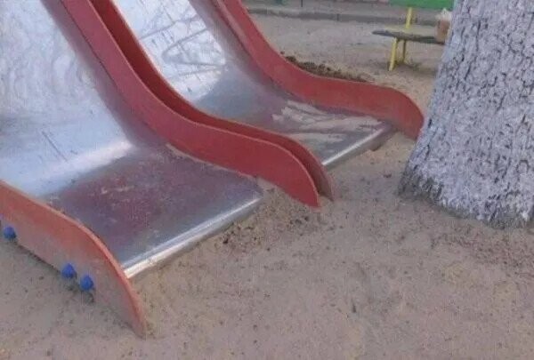 Photos from the Halls of the Smithsonian Of Stupidity