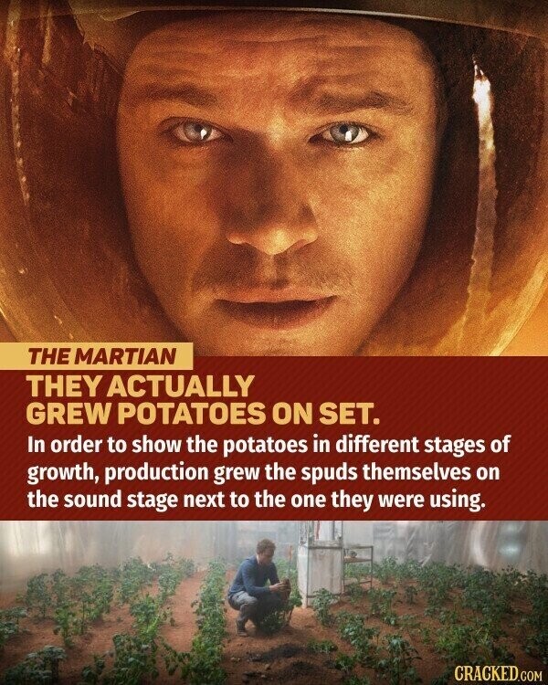 THE MARTIAN THEY ACTUALLY GREW POTATOES ON SET. In order to show the potatoes in different stages of growth, production grew the spuds themselves on the sound stage next to the one they were using. CRACKED.COM