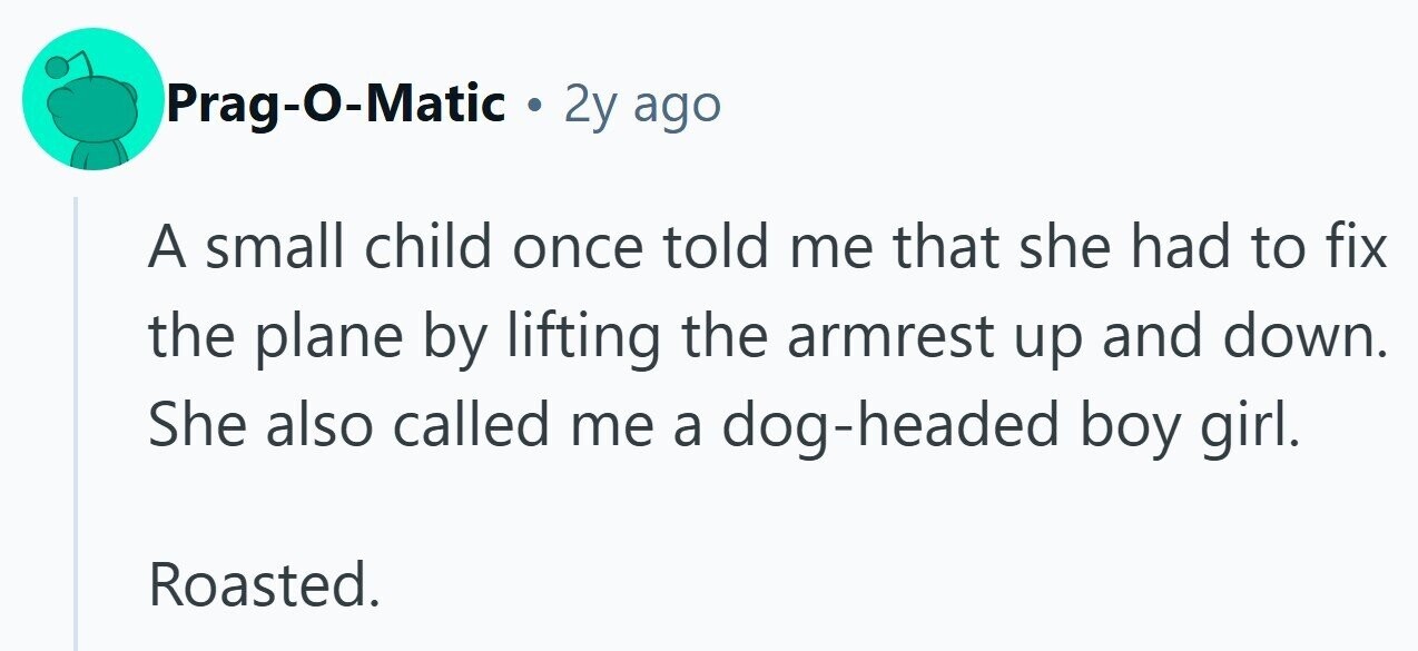 Prag-O-Matic . 2y ago A small child once told me that she had to fix the plane by lifting the armrest up and down. She also called me a dog-headed boy girl. Roasted.