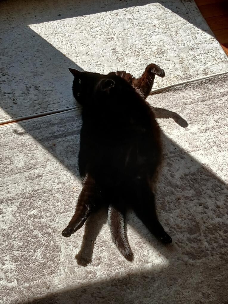 20 Interesting Yet Confusing Perspectives