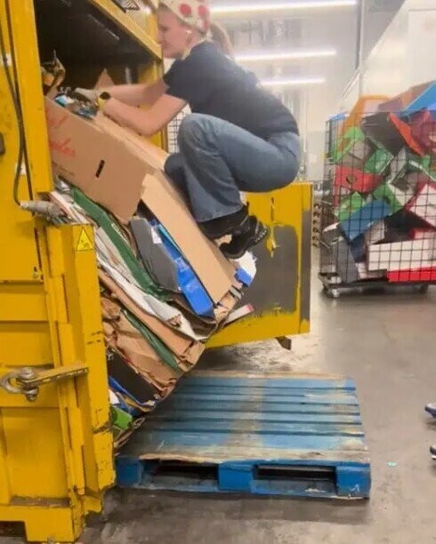 Photos from the Halls of the Smithsonian Of Stupidity