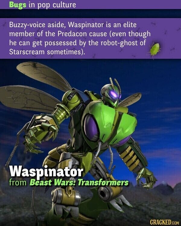 Bugs in pop culture Buzzy-voice aside, Waspinator is an elite member of the Predacon cause (even though he can get possessed by the robot-ghost of Starscream sometimes). Waspinator from Beast Wars: Transformers CRACKED.COM