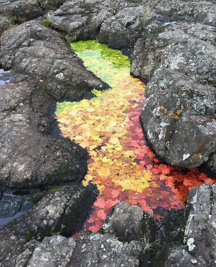 Photos That Fit Nicely In Your Mind’s Happy Place