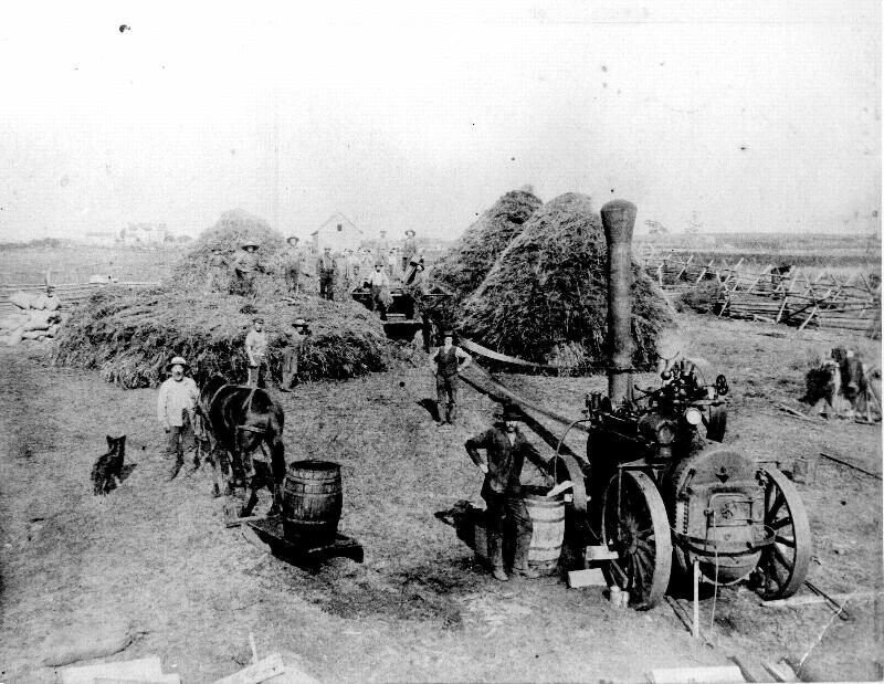 Historical Moments Straight Out Of Looney Tunes