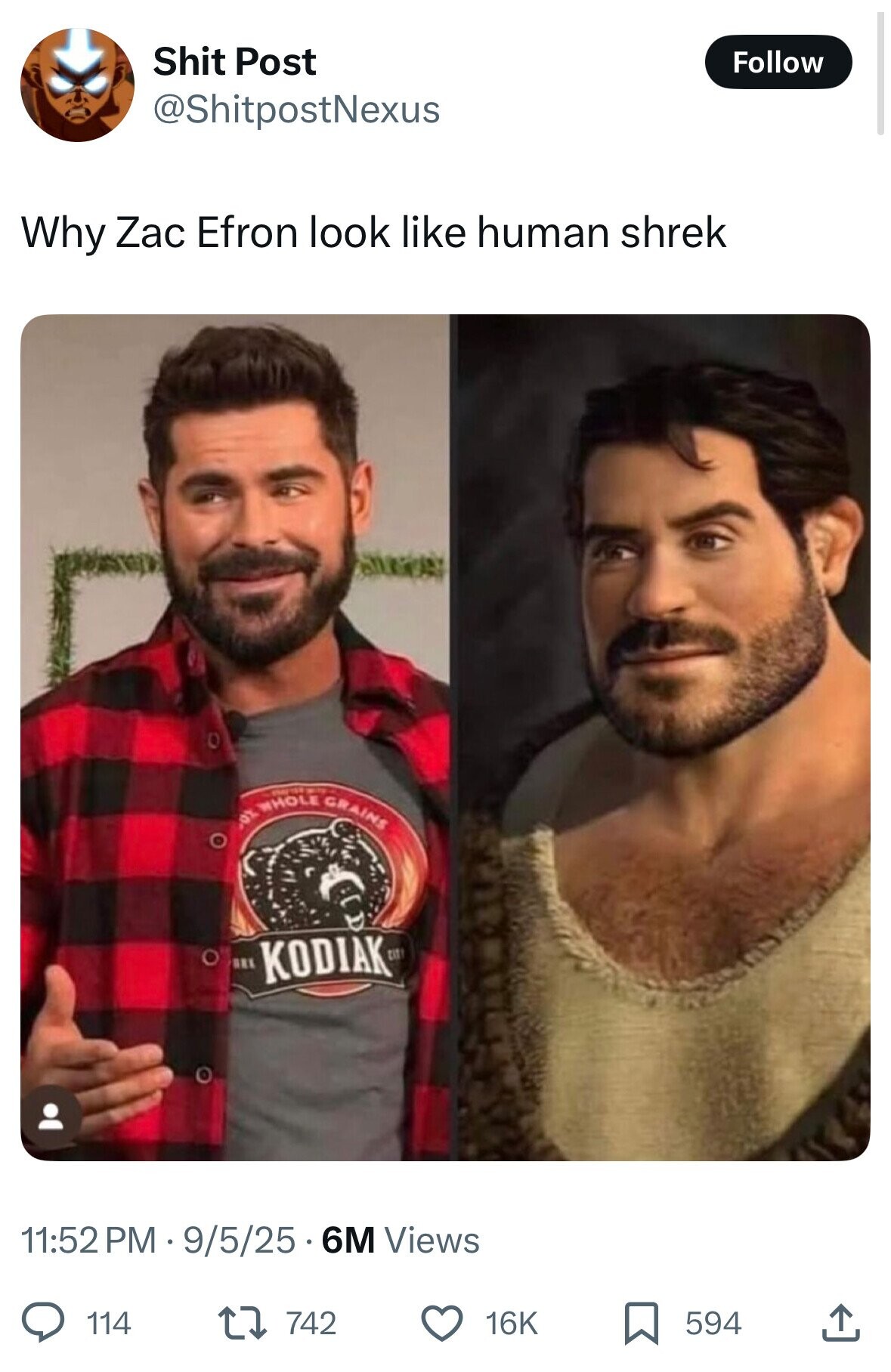 Shit Post Follow @ShitpostNexus Why Zac Efron look like human shrek oz WHOLE GRAINS KODIAK tit 11:52 PM 9/5/25.6M Views 114 742 16K 594 