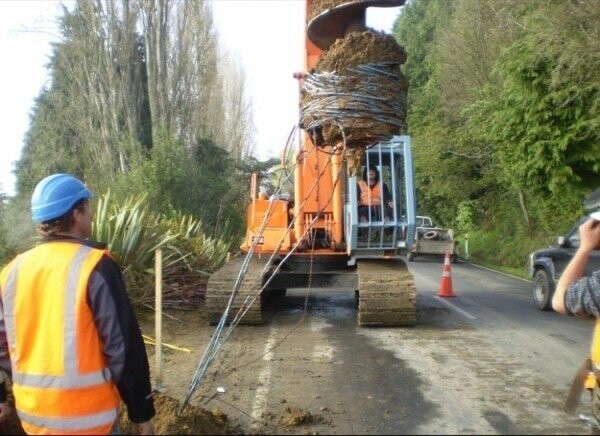 Photos from the Halls of the Smithsonian Of Stupidity