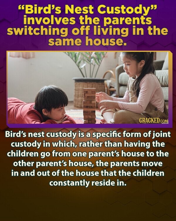 Bird's Nest Custody involves the parents switching off living in the same house. CRACKED.COM Bird's nest custody is a specific form of joint custody in which, rather than having the children go from one parent's house to the other parent's house, the parents move in and out of the house that the children constantly reside in.