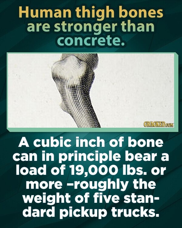 Human thigh bones are stronger than concrete. GRAGKED.COM A cubic inch of bone can in principle bear a load of 19,000 lbs. or more -roughly the weight of five stan- dard pickup trucks.