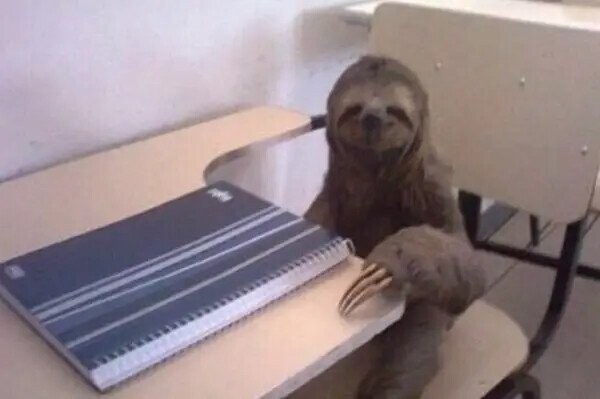 Photos That Fit Nicely In Your Mind’s Happy Place