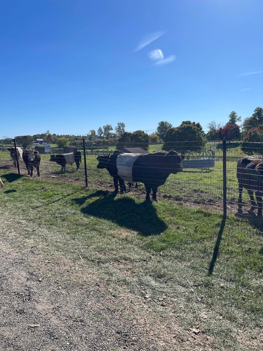 20 Interesting Yet Confusing Perspectives