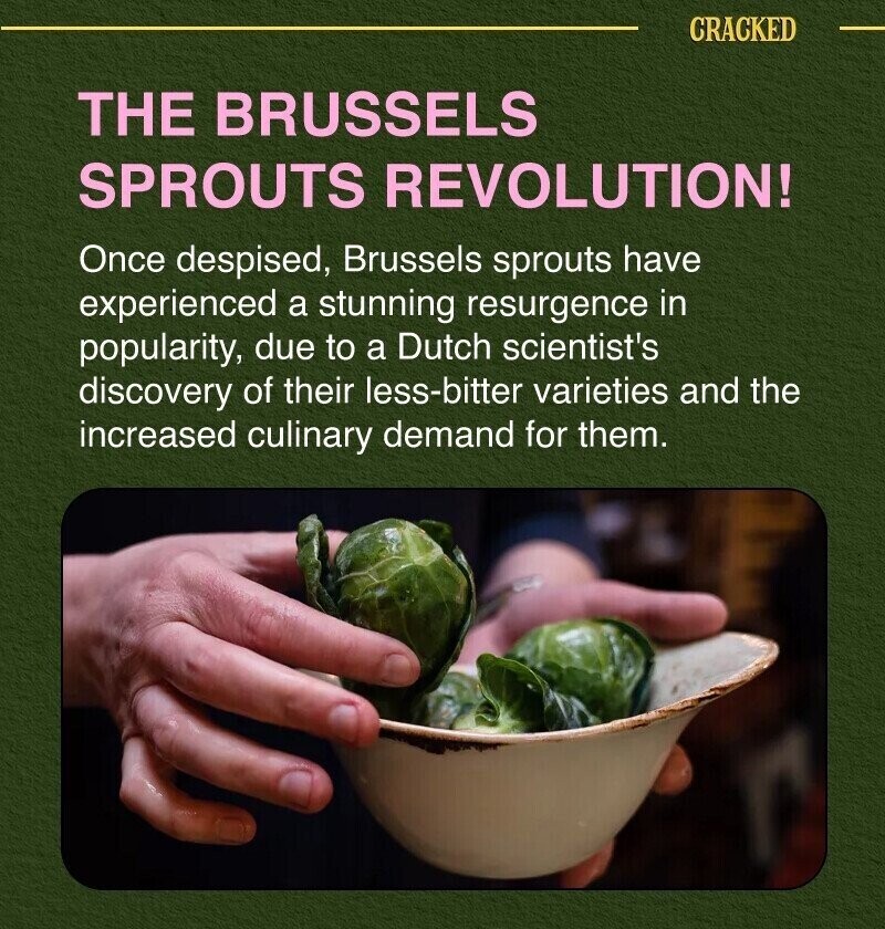 CRACKED THE BRUSSELS SPROUTS REVOLUTION! Once despised, Brussels sprouts have experienced a stunning resurgence in popularity, due to a Dutch scientist's discovery of their less-bitter varieties and the increased culinary demand for them.