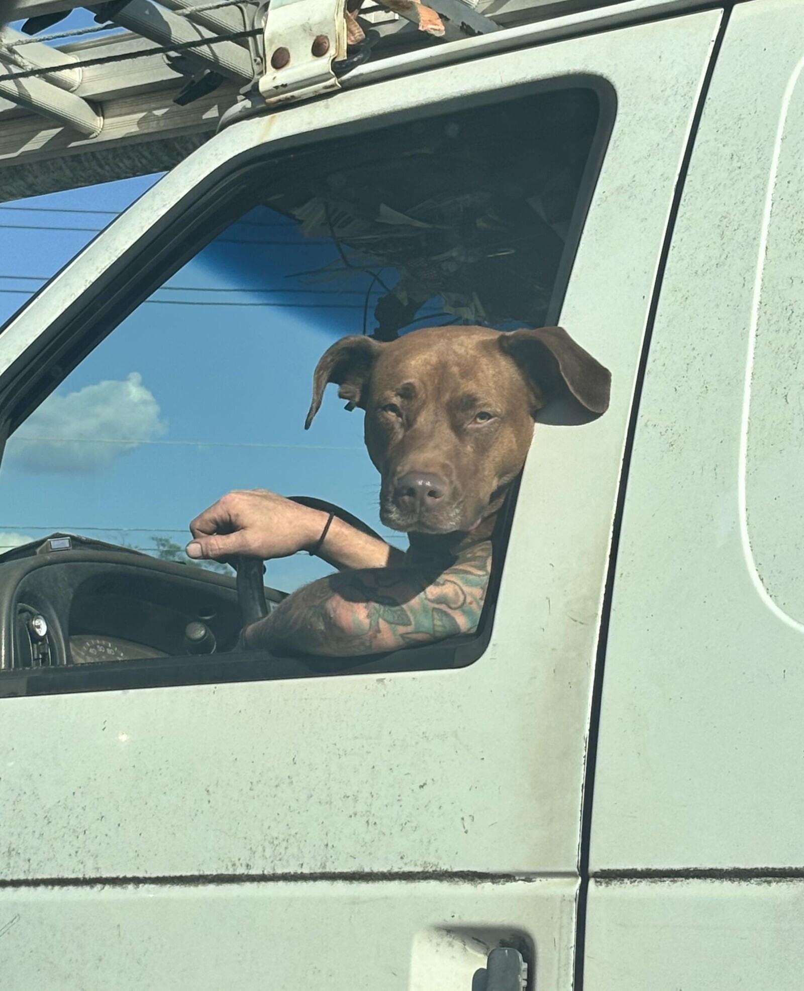 20 Interesting Yet Confusing Perspectives