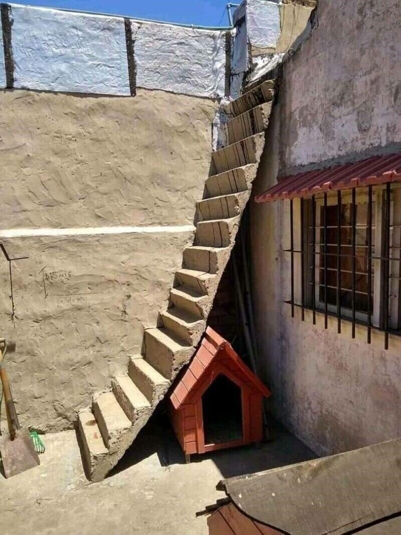 Photos from the Halls of the Smithsonian Of Stupidity