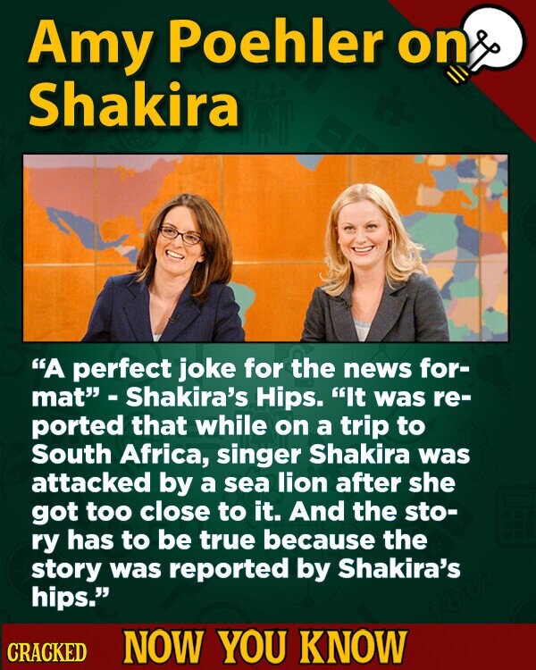 Amy Poehler on Shakira A perfect joke for the news for- mat - Shakira's Hips. It was re- ported that while on a trip to South Africa, singer Shakira was attacked by a sea lion after she got too close to it. And the sto- ry has to be true because the story was reported by Shakira's hips. CRACKED NOW YOU KNOW