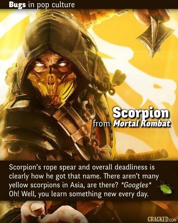 Bugs in pop culture Scorpion from Mortal Kombat Scorpion's rope spear and overall deadliness is clearly how he got that name. There aren't many yellow scorpions in Asia, are there? *Googles* Oh! Well, you learn something new every day. CRACKED.COM