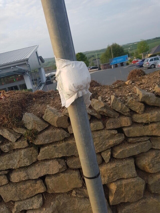 Photos Where People Have No Respect of Fellow Citizens