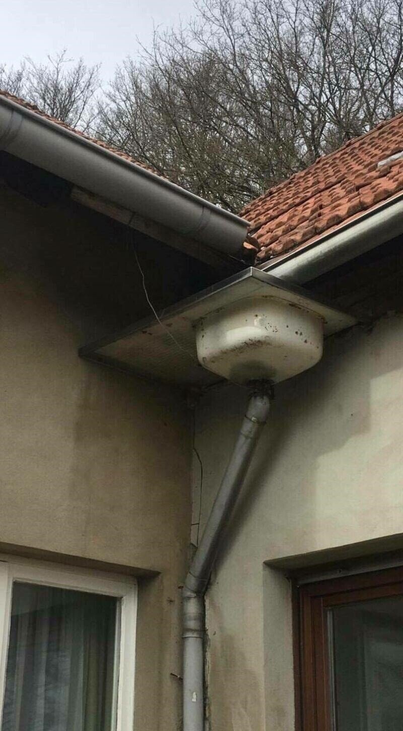 Photos from the Halls of the Smithsonian Of Stupidity