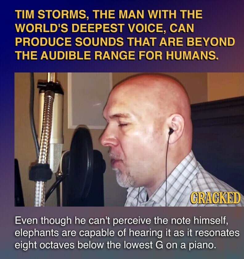 TIM STORMS, THE MAN WITH THE WORLD'S DEEPEST VOICE, CAN PRODUCE SOUNDS THAT ARE BEYOND THE AUDIBLE RANGE FOR HUMANS. CRACKED Even though he can't perceive the note himself, elephants are capable of hearing it as it resonates eight octaves below the lowest G on a piano.