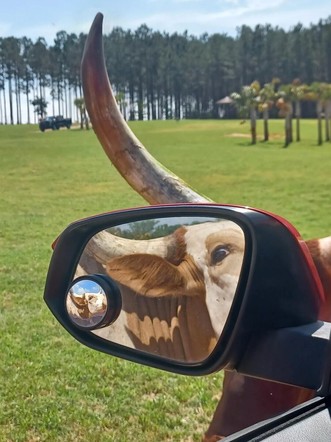 Photos That Look Totally Normal Until You Look Closer