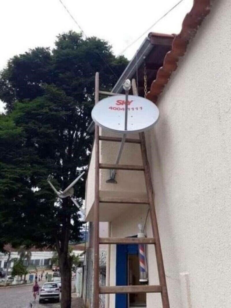 Photos from the Halls of the Smithsonian Of Stupidity