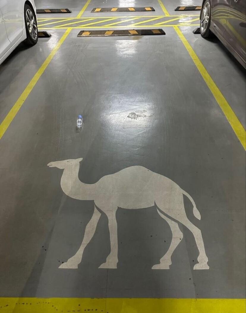 20 Images Where It's 'Game Over' for Common Sense