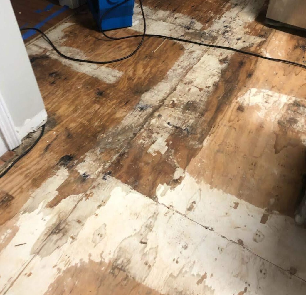People Share the 15 Biggest Work Disasters They've Caused | Cracked.com