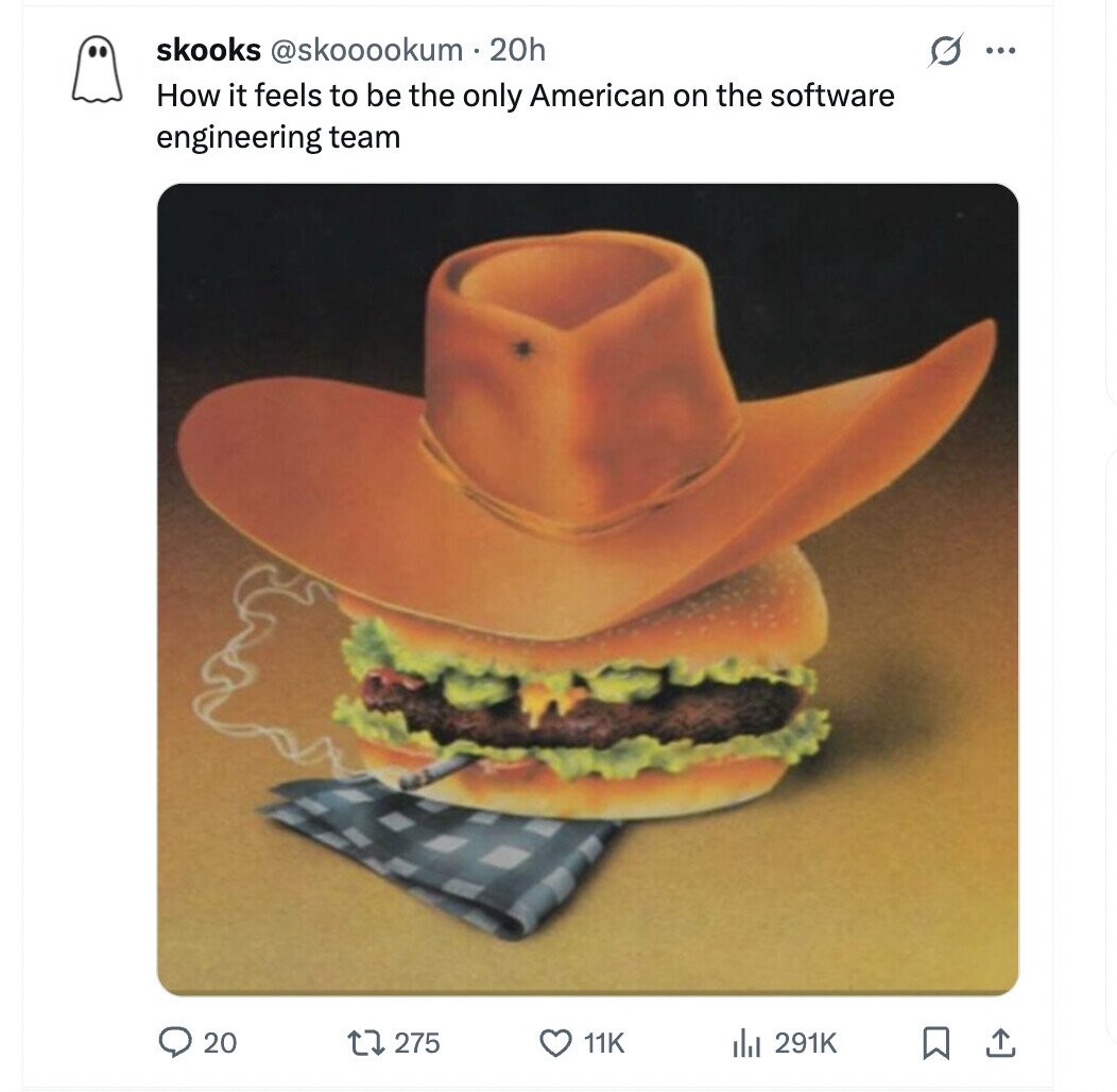 skooks @skooookum . 20h G ... How it feels to be the only American on the software engineering team 20 291K 275 11K