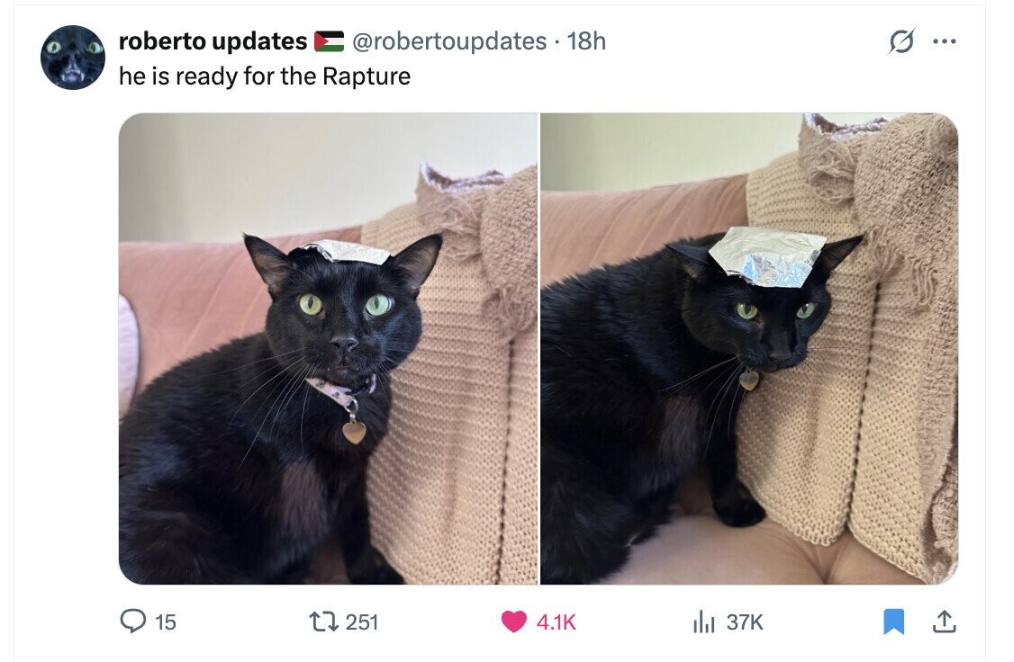 O roberto updates @robertoupdates 18h ... he is ready for the Rapture 15 251 4.1K dal 37K 