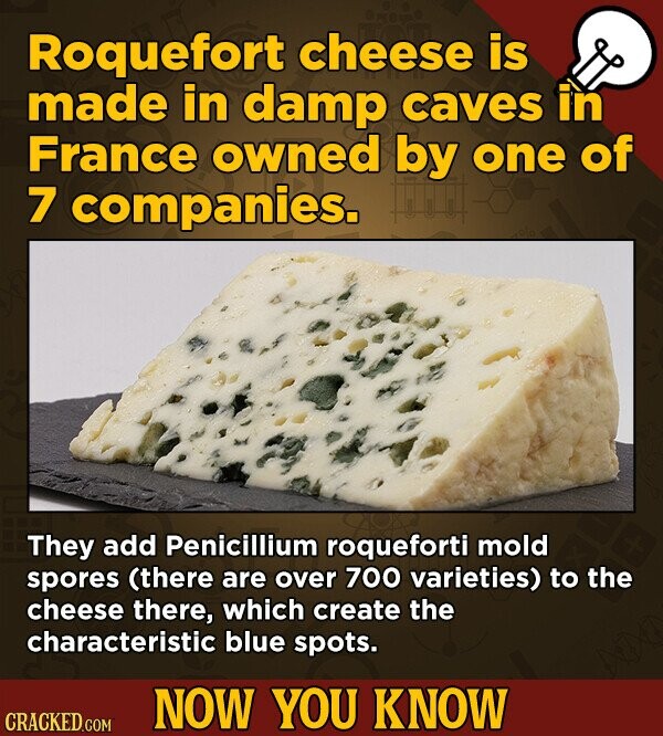 Roquefort cheese is made in damp caves in France owned by one of 7 companies. They add Penicillium roqueforti mold spores (there are over 700 varieties) to the cheese there, which create the characteristic blue spots. NOW YOU KNOW CRACKED.COM
