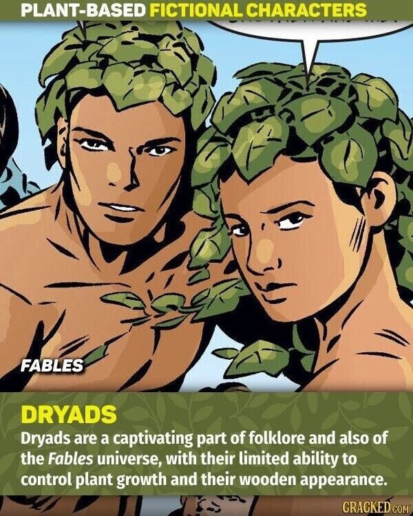 PLANT-BASED FICTIONAL CHARACTERS FABLES DRYADS Dryads are a captivating part of folklore and also of the Fables universe, with their limited ability to control plant growth and their wooden appearance. CRACKED.COM
