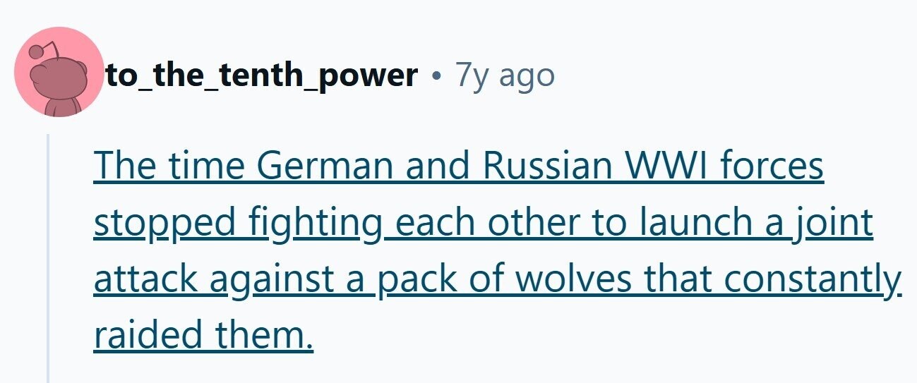 to_the_tenth_power . 7y ago The time German and Russian WWI forces stopped fighting_each other to launch a joint attack against a pack of wolves that constantly. raided them. 