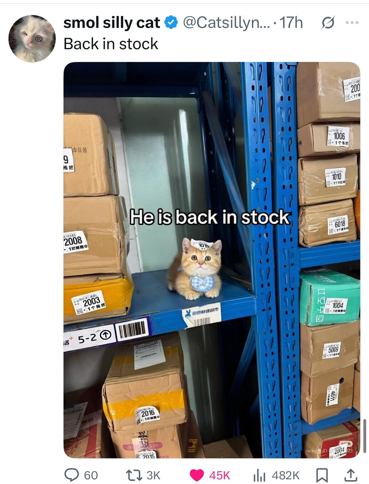 @Catsillyn... .17h s ... smol silly cat Back in stock I 1-3 200 110 GINE I 1006 1TAE 9 1010 1 in Не is back in stock 2 6018 N 2008 1015 1.9 1 ه 5-2 2003 STARKING 1004 1 will 1 T 5-2 NO 5009 CITORE - 4011 INTERNATIONAL 2016 + ٠١٠٠٠ the rednoteJD: 823 2004 2015 ITEMA 60 3K 45K 482K 