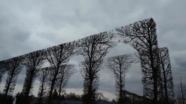 Photos That Fit Nicely In Your Mind’s Happy Place