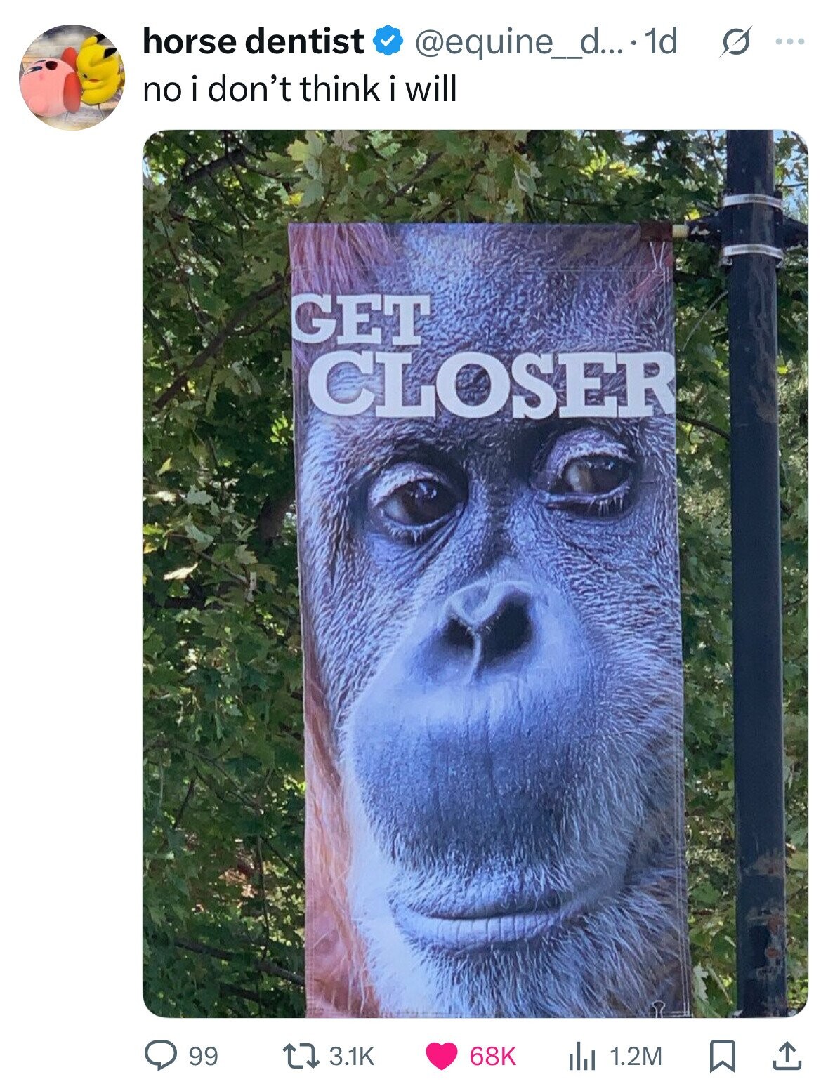 horse dentist @equine_d....1d s ... no i don't think i will GET CLOSER 99 3.1K 68K 1.2M 